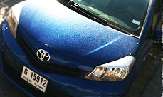 featured_yaris5