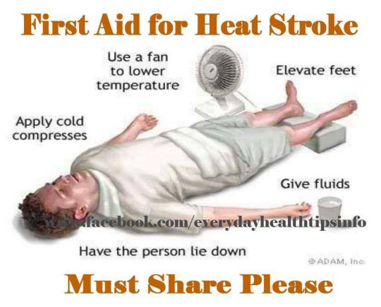 Hot weather safety and driving car tips - Heat Stroke: what to do